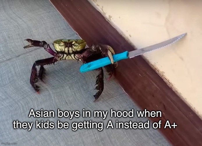 Hose be mad | Asian boys in my hood when they kids be getting A instead of A+ | made w/ Imgflip meme maker