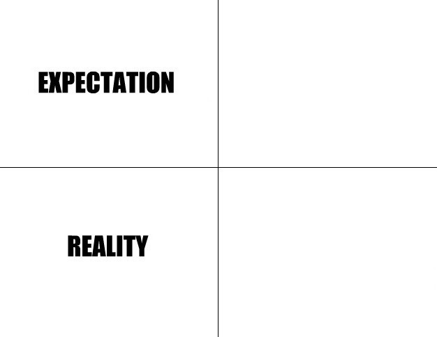 Expectation vs reality (fixed) Blank Meme Template