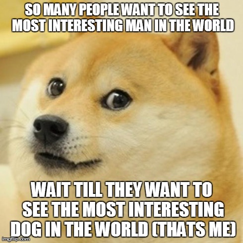 Doge Meme | SO MANY PEOPLE WANT TO SEE THE MOST INTERESTING MAN IN THE WORLD WAIT TILL THEY WANT TO SEE THE MOST INTERESTING DOG IN THE WORLD (THATS ME) | image tagged in memes,doge | made w/ Imgflip meme maker