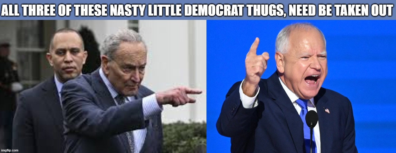 Democrat Leaders | All three of these nasty little democrat thugs, need be taken out | image tagged in thugs,democrat thugs | made w/ Imgflip meme maker