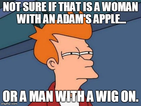 Futurama Fry | NOT SURE IF THAT IS A WOMAN WITH AN ADAM'S APPLE... OR A MAN WITH A WIG ON. | image tagged in memes,futurama fry | made w/ Imgflip meme maker
