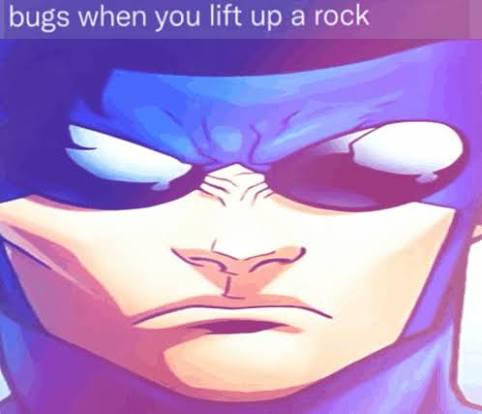 bugs when you lift up a rock (invincible) Blank Meme Template
