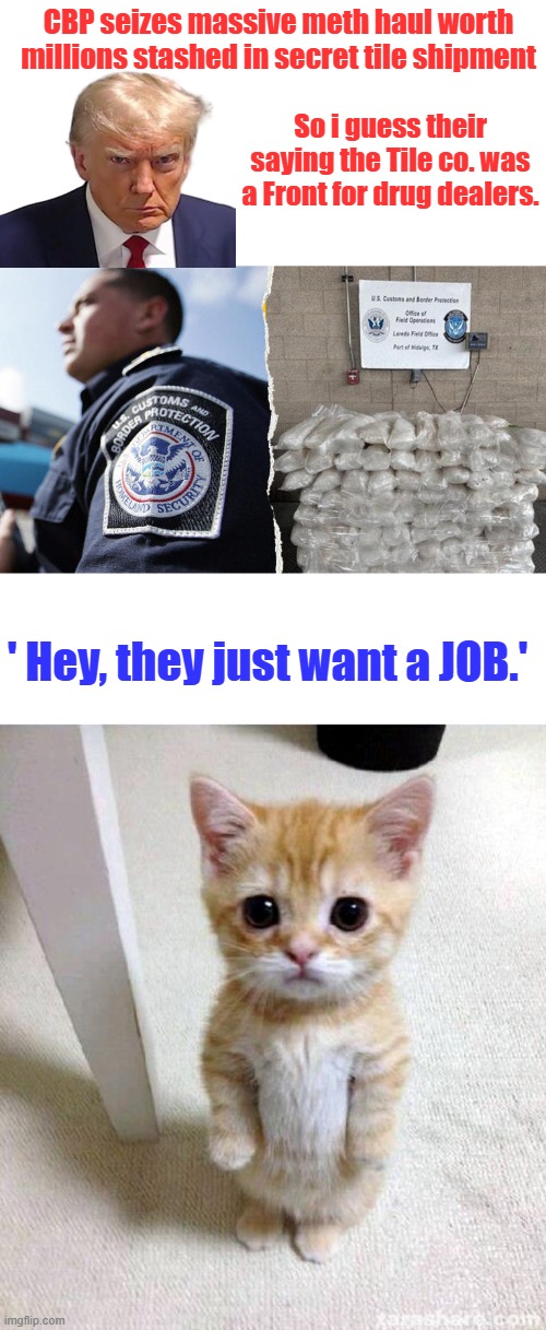 CBP seizes massive meth haul worth millions stashed in secret tile shipment; So i guess their saying the Tile co. was a Front for drug dealers. ' Hey, they just want a JOB.' | image tagged in memes,cute cat | made w/ Imgflip meme maker