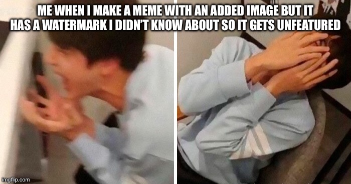 nooo | Me when I make a meme with an added image but it has a watermark I didn’t know about so it gets unfeatured | image tagged in nooo | made w/ Imgflip meme maker