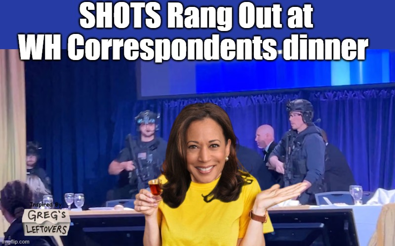Dems are not always against gun ownership | SHOTS Rang Out at WH Correspondents dinner | image tagged in kamala shots wh correspondents dinner meme | made w/ Imgflip meme maker