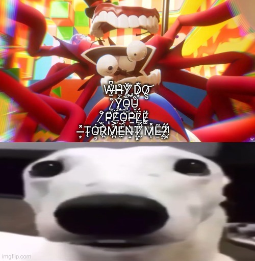 SHIVER ME TIMBERS! OOH SO SCARY!! Anyone should mess with this too. | image tagged in shiver me timbers,scared dog,scary,fill in meme,fill in memes,dog | made w/ Imgflip meme maker