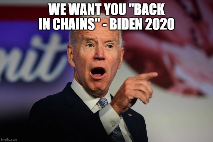 Angry Joe Biden Pointing | we want you "back in chains" - Biden 2020 | image tagged in angry joe biden pointing | made w/ Imgflip meme maker