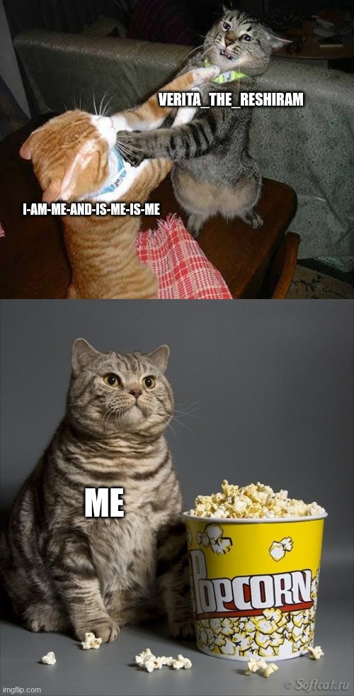 Cat watching other cats fight | I-AM-me-and-is-me-is-me verita_the_reshiram Me | image tagged in cat watching other cats fight | made w/ Imgflip meme maker