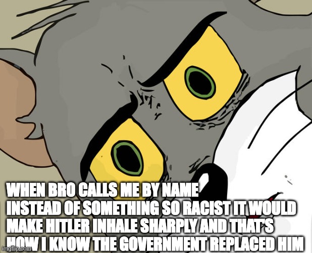 They didn't do they're research | When bro calls me by name instead of something so racist it would make Hitler inhale sharply and that's how I know the government replaced him | image tagged in memes | made w/ Imgflip meme maker