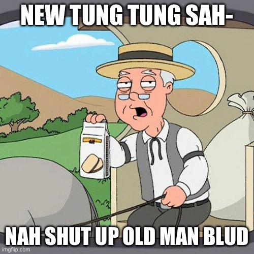 Pepperidge Farm Remembers Meme | New tung tung sah-; Nah shut up old man blud😂💀 | image tagged in memes,pepperidge farm remembers | made w/ Imgflip meme maker