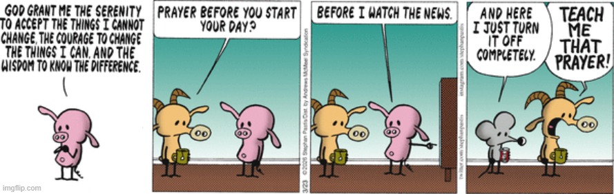 Pearls Before Swine | image tagged in comics | made w/ Imgflip meme maker
