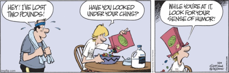 Zits | image tagged in comics | made w/ Imgflip meme maker