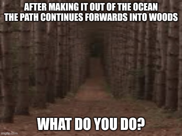 another part of my liminal series. | after making it out of the ocean the path continues forwards into woods; What do you do? | made w/ Imgflip meme maker