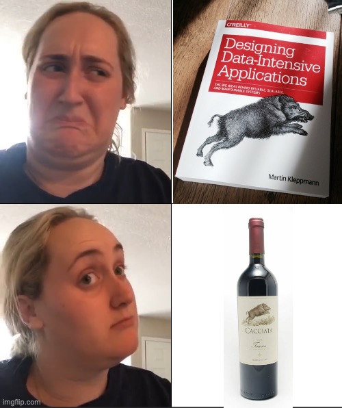DDIA book VS bottle of wine | image tagged in kombucha girl hd | made w/ Imgflip meme maker