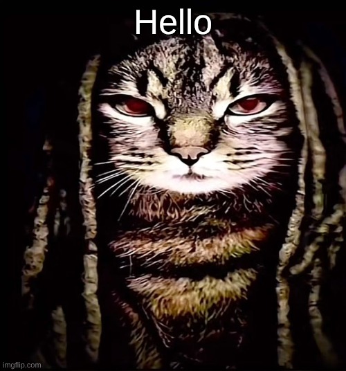 kat von | Hello | image tagged in kat von | made w/ Imgflip meme maker