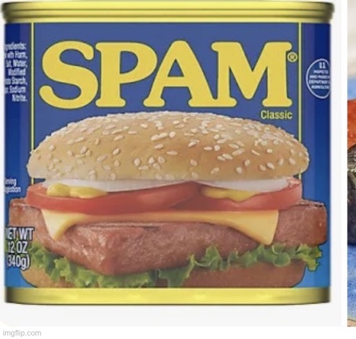 This is spam | image tagged in img_1419 jpeg | made w/ Imgflip meme maker