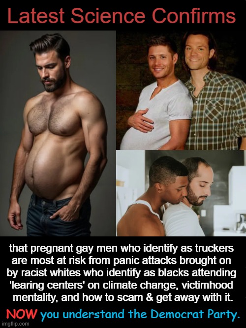In a NUTshell... | Latest Science Confirms; that pregnant gay men who identify as truckers 

are most at risk from panic attacks brought on 

by racist whites who identify as blacks attending 

'learing centers' on climate change, victimhood 

mentality, and how to scam & get away with it. NOW you understand the Democrat Party. NOW | image tagged in democrat party,the twilight zone,mental health,identity politics,political humor,liberalism | made w/ Imgflip meme maker