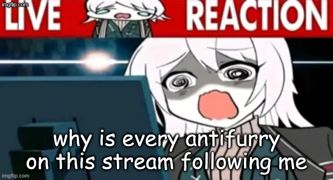 Live Faust reaction | why is every antifurry on this stream following me | image tagged in live faust reaction | made w/ Imgflip meme maker