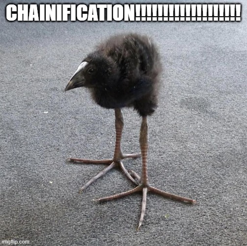 Pukeko chick | CHAINIFICATION!!!!!!!!!!!!!!!!!!! | image tagged in pukeko chick | made w/ Imgflip meme maker