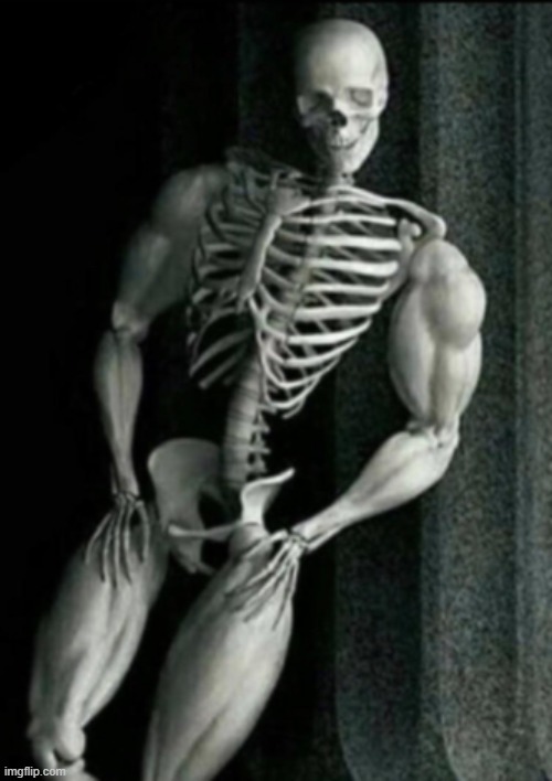 Buff Skeleton | image tagged in buff skeleton | made w/ Imgflip meme maker