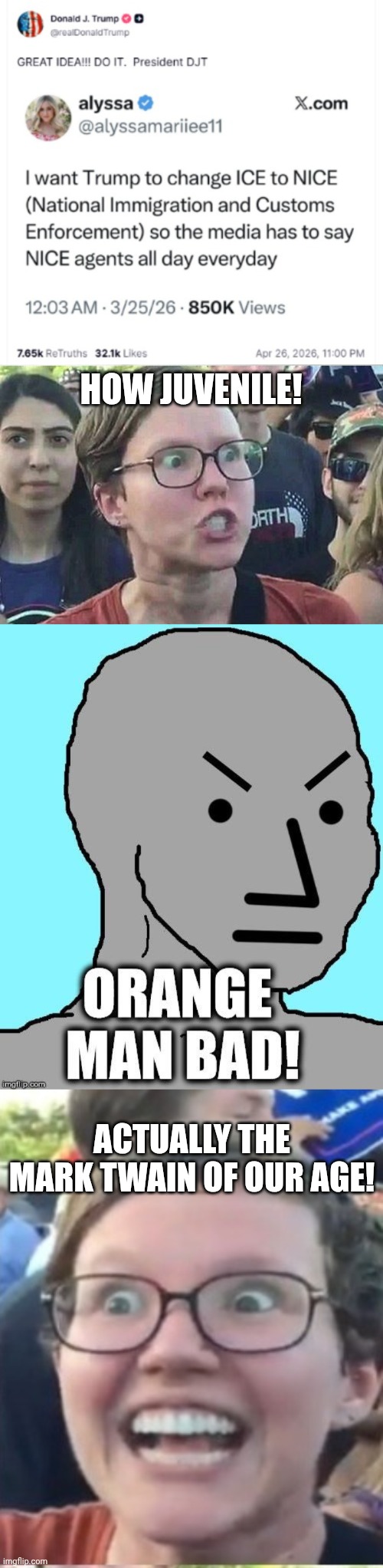 No wonder kids can't read these days | How juvenile! Actually the mark Twain of our age! | image tagged in triggered liberal,orange man bad,liberal hypocrisy | made w/ Imgflip meme maker