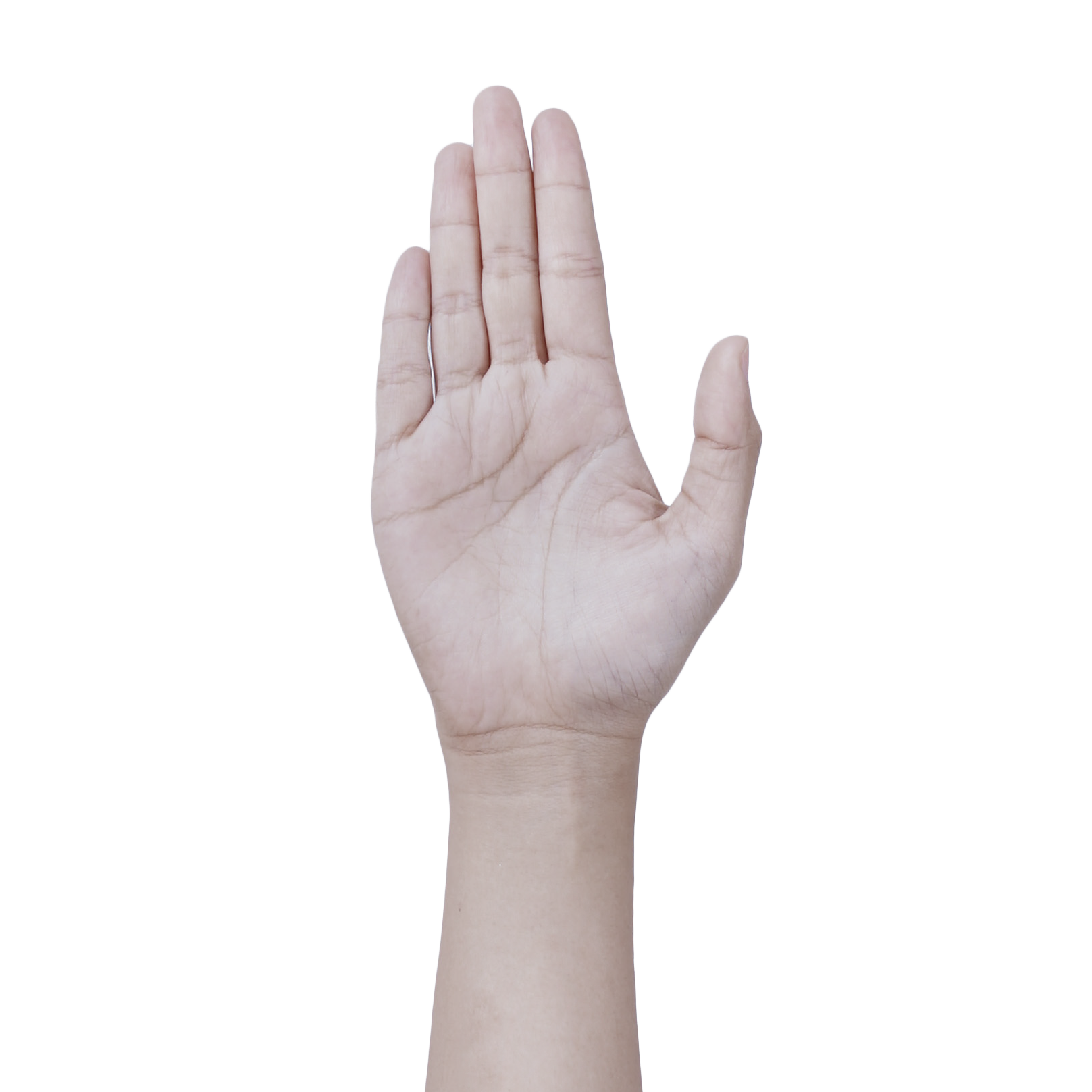 hand Blank Meme Template