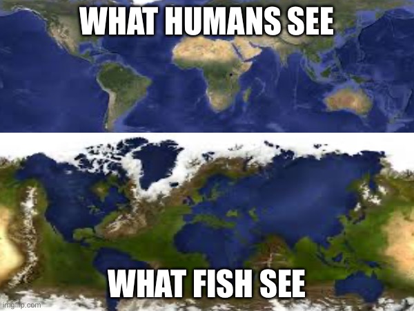 Fr | What humans see; What fish see | image tagged in earth,humans,funny,fish | made w/ Imgflip meme maker