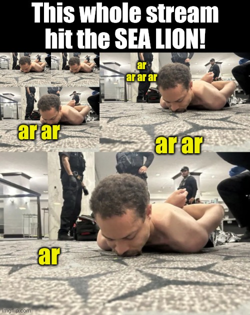 Sorry guys I'll leave now | This whole stream hit the SEA LION! ar ar ar ar; ar ar; ar ar; ar | image tagged in sea lion,everybody hit the sea lion,trend | made w/ Imgflip meme maker