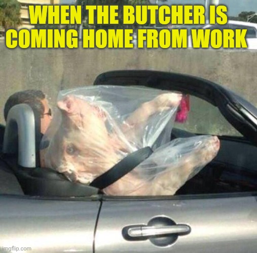 Pig in a car...? | When the butcher is coming home from work | image tagged in pig in a car | made w/ Imgflip meme maker