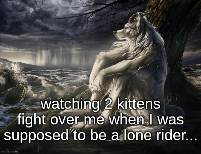 I'm actually starting to feel... remorse for my actions? | watching 2 kittens fight over me when I was supposed to be a lone rider... | image tagged in lone wolf | made w/ Imgflip meme maker
