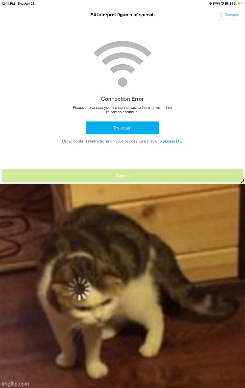 What? | image tagged in loading cat,ixl,fail | made w/ Imgflip meme maker