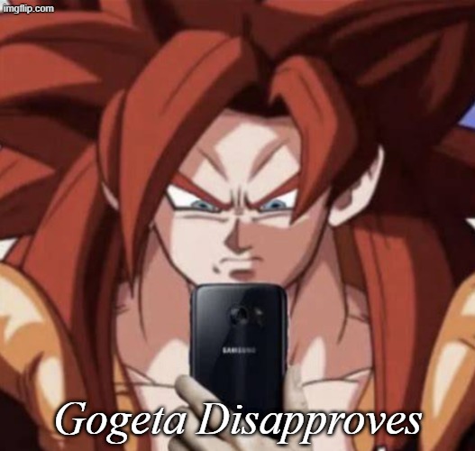 Disgusted Gogeta | Gogeta Disapproves | image tagged in disgusted gogeta | made w/ Imgflip meme maker