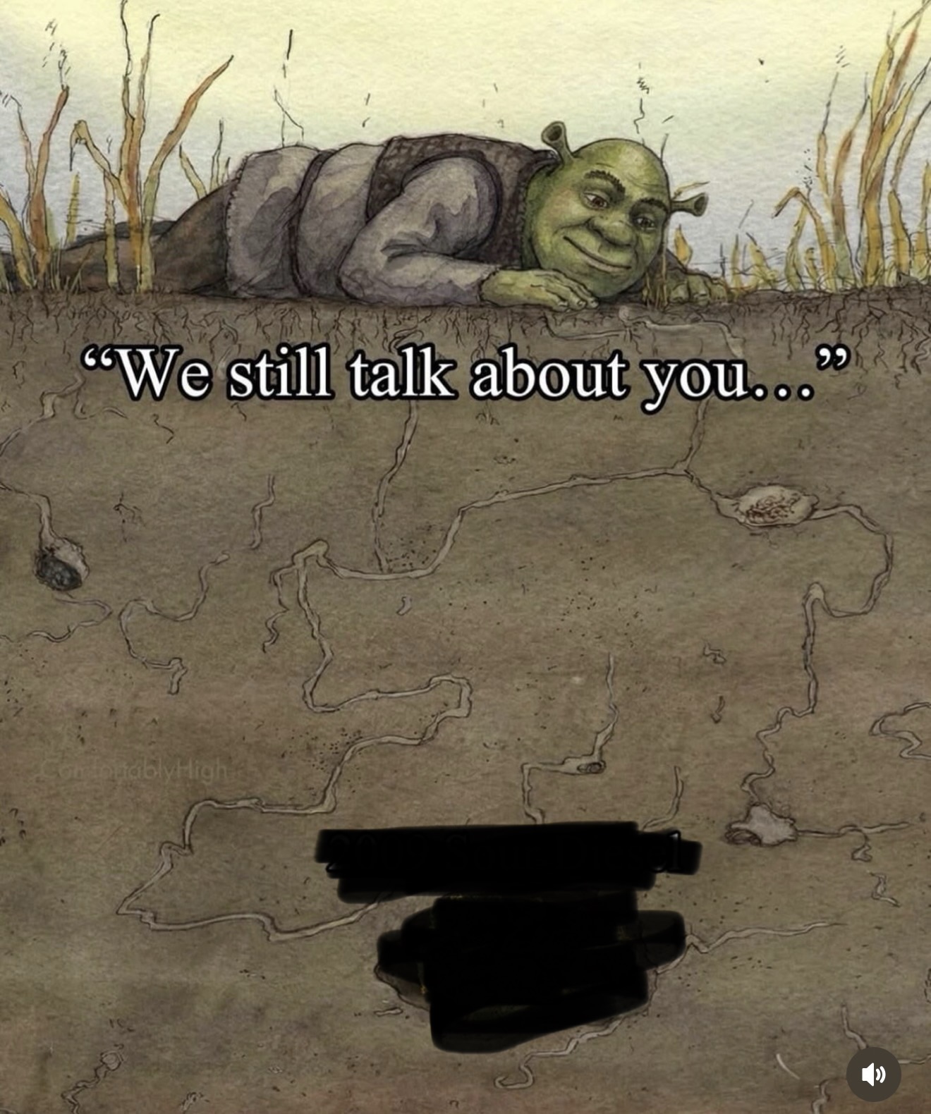 Shrek Blank Meme Template