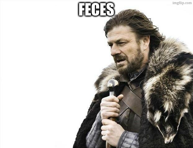 Brace Yourselves X is Coming Meme | feces | image tagged in memes,brace yourselves x is coming | made w/ Imgflip meme maker