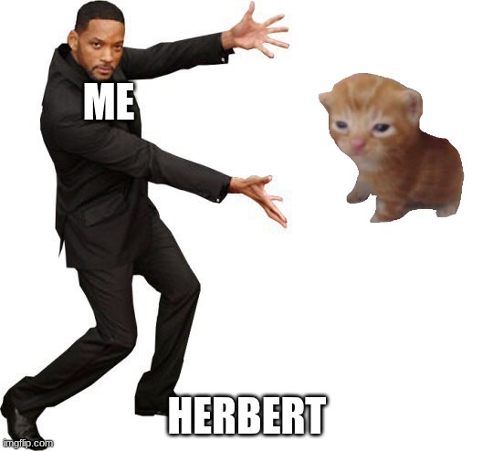 herbert | me; herbert | image tagged in tada will smith,herbert,cat,funny | made w/ Imgflip meme maker