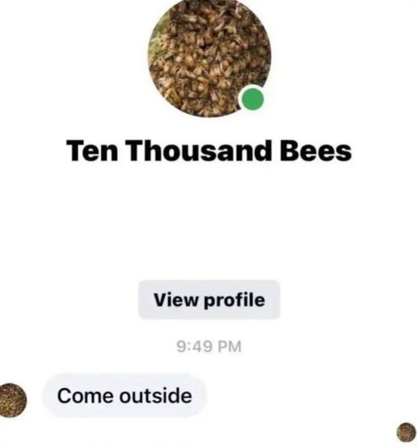 10000 Bees Blank Meme Template