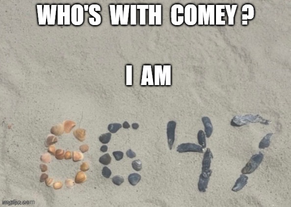 Who's with Comey | who's  with  comey ? I  am | image tagged in 86 png,comey,trump | made w/ Imgflip meme maker