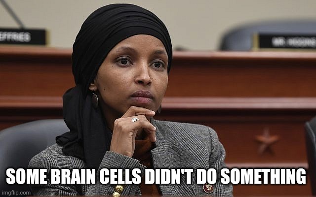 Some brain cells didn't do something | image tagged in ilhan omar something | made w/ Imgflip meme maker