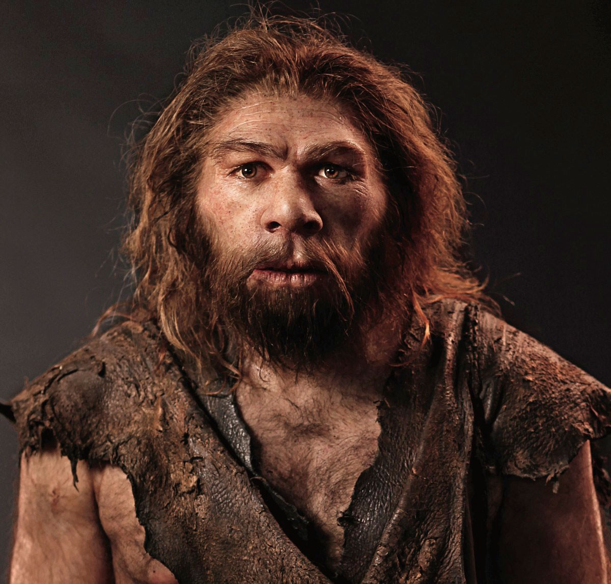Early man Blank Meme Template