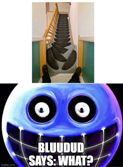 You had just one, simple, tiny, job! | Bluudud says: what? | image tagged in what happened to bluudud | made w/ Imgflip meme maker