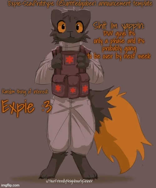 Not an oc btw | DW guys it's only a phase and it's probably going to be over by next week; Expie :3 | image tagged in expie-scavprototype announcement template | made w/ Imgflip meme maker