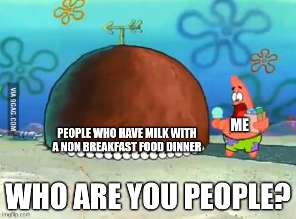 Patrick Who are you People | ME; People who have milk with a non breakfast food dinner | image tagged in patrick who are you people | made w/ Imgflip meme maker