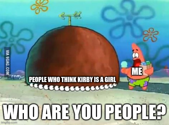 Patrick Who are you People | ME; People who think Kirby is a girl | image tagged in patrick who are you people | made w/ Imgflip meme maker