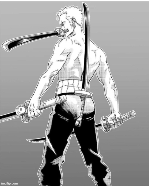 Zoro 4 Sword Style | image tagged in zoro 4 sword style | made w/ Imgflip meme maker