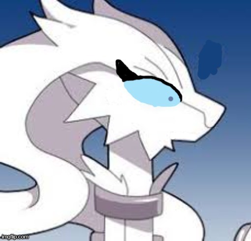 Verita the Reshiram shocked Blank Meme Template