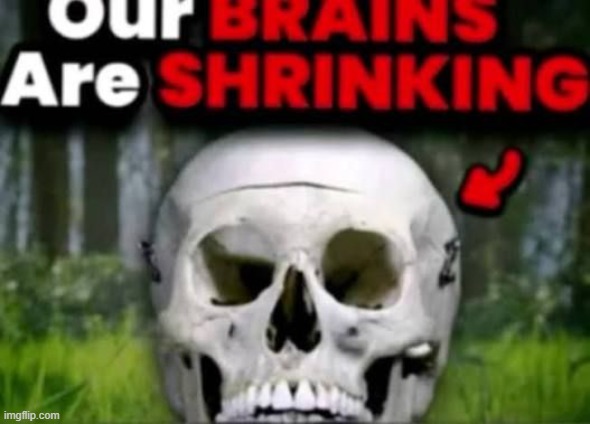 our brains are shrinking | image tagged in our brains are shrinking | made w/ Imgflip meme maker