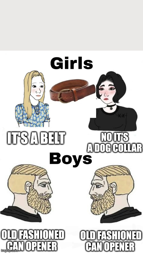 Girls vs Boys | It's a belt; No it's a dog collar; Old fashioned can opener; Old fashioned can opener | image tagged in girls vs boys | made w/ Imgflip meme maker