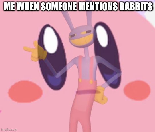 Blank Kirby Face | Me when someone mentions rabbits | image tagged in blank kirby face | made w/ Imgflip meme maker
