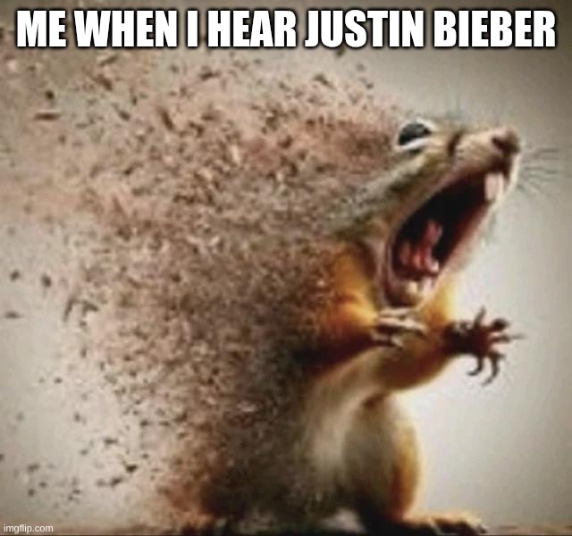 badass squirrel disintegrating | Me when I hear Justin Bieber | image tagged in badass squirrel disintegrating | made w/ Imgflip meme maker