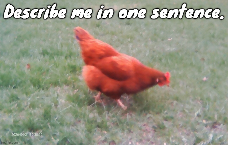 2026-04-21-19-30-12.jpg | Describe me in one sentence. | image tagged in 2026-04-21-19-30-12 jpg | made w/ Imgflip meme maker